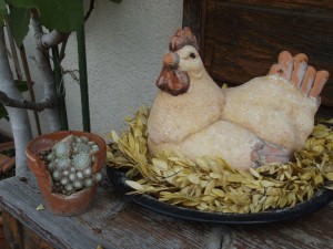 Huhn mit Hauswurz