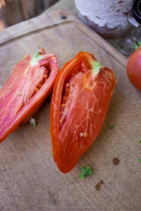 tomatensamen-ernten