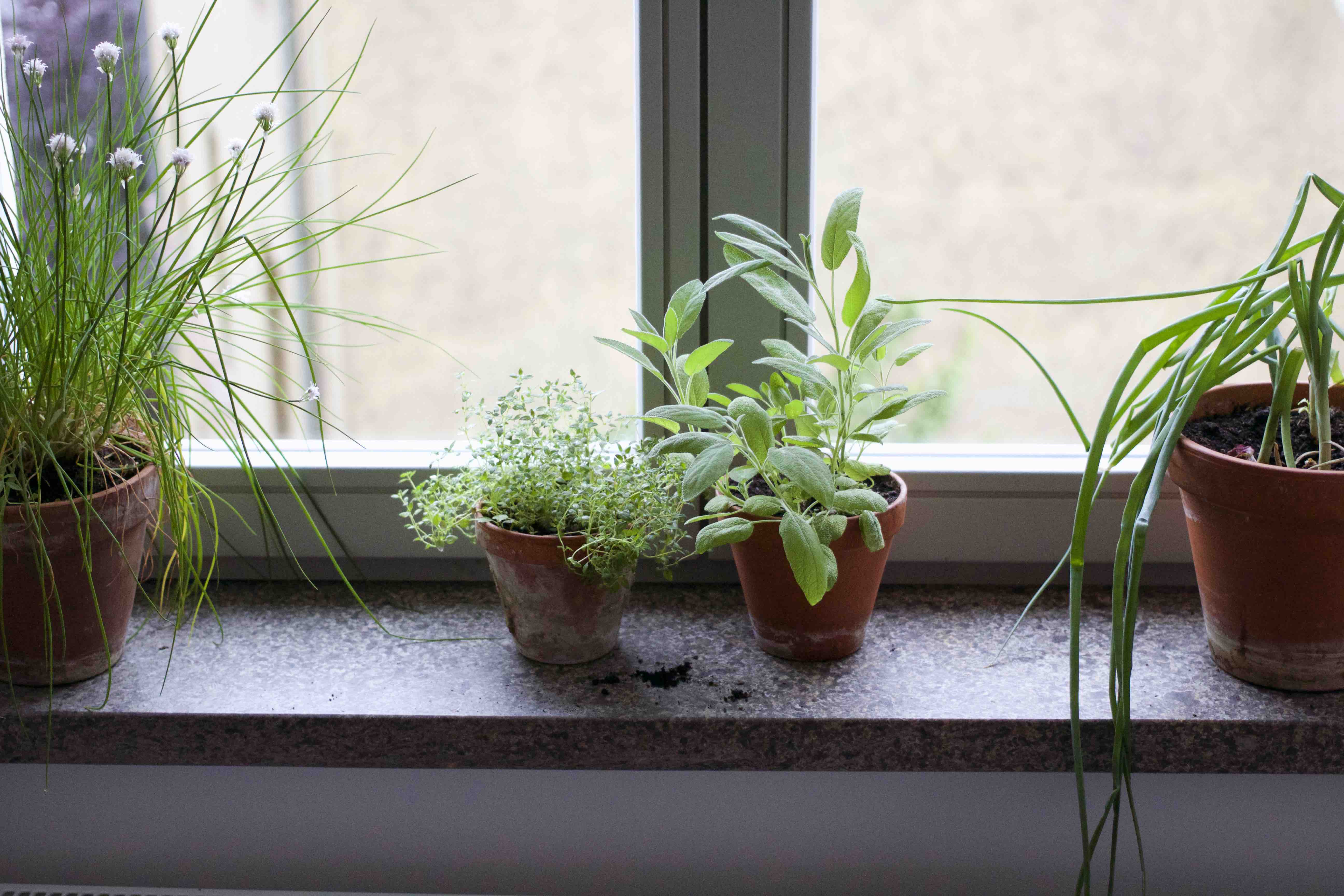 Mein Heimwerker Blog: Meine Fensterbänke