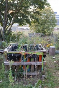 urban gardening