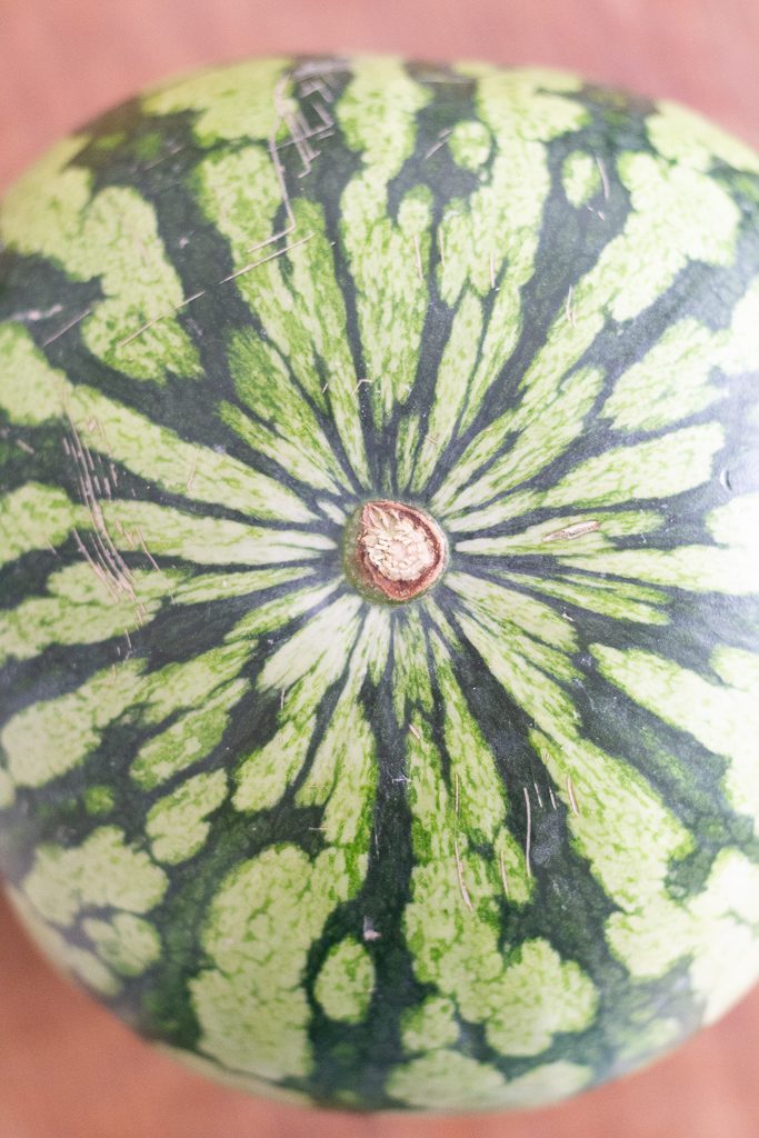 wassermelonen salat
